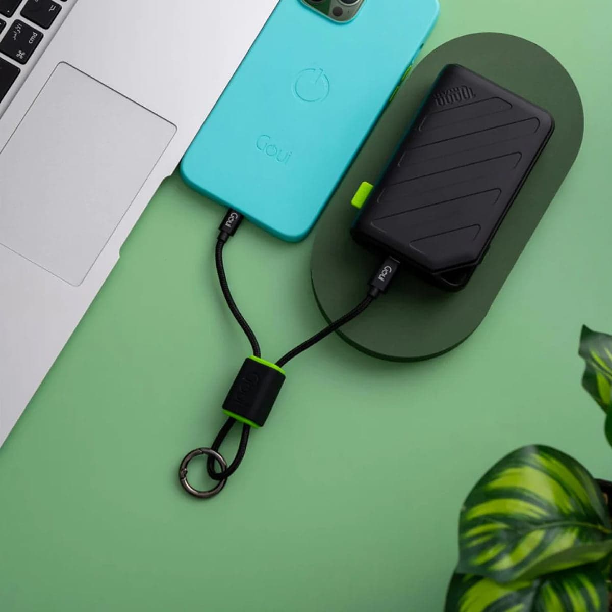 Goui - Câble Lock Porte-Clés Type C vers Type C 3