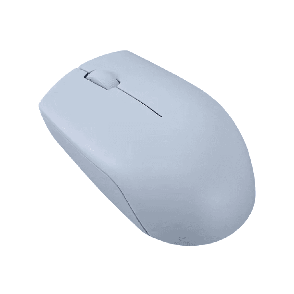 Lenovo 300 Souris sans fil (GY51L15679) 4