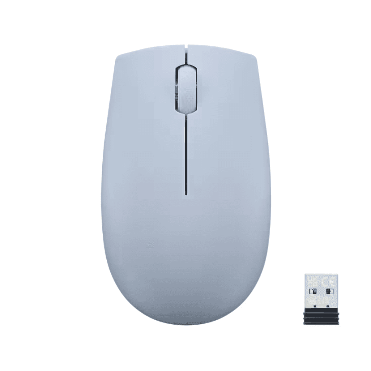 Lenovo 300 Souris sans fil (GY51L15679)