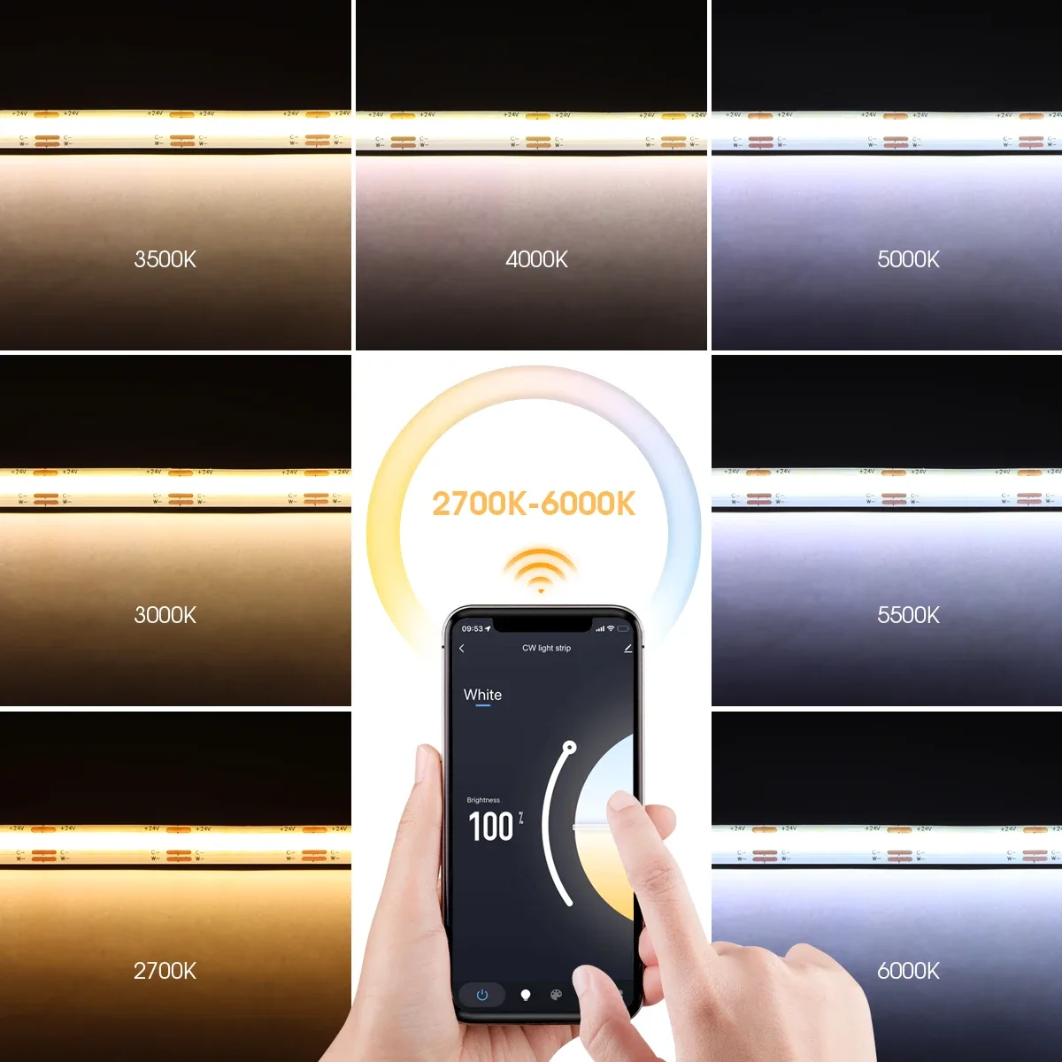 Ruban LED COB CCT Connecté WiFi Tuya 24V - Intensité Variable (3m/5m) - Image 4