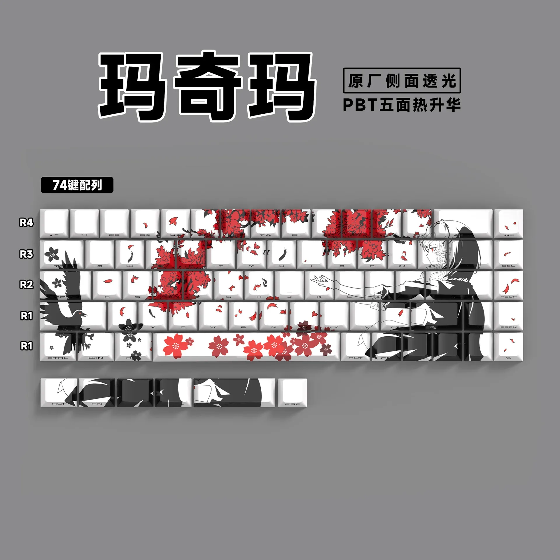 Keycaps PBT Translucides à Lettrage Latéral - 74 Touches - Pour Claviers 61/68 slide 22