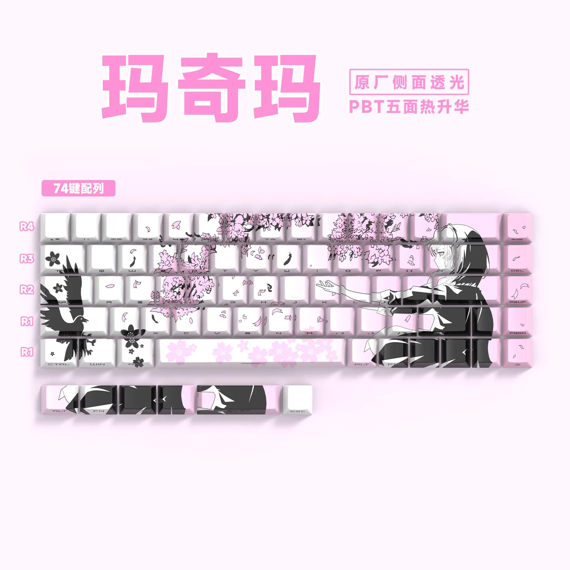 Keycaps PBT Translucides à Lettrage Latéral - 74 Touches - Pour Claviers 61/68 slide 25