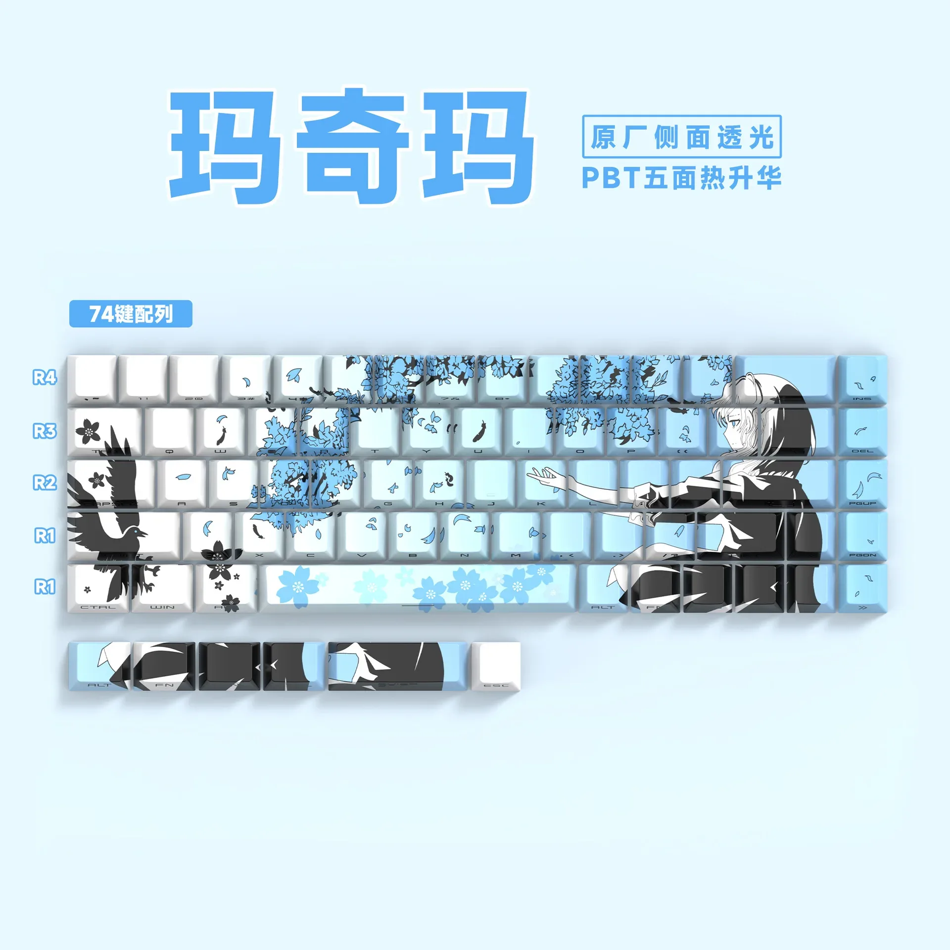Keycaps PBT Translucides à Lettrage Latéral - 74 Touches - Pour Claviers 61/68 slide 19