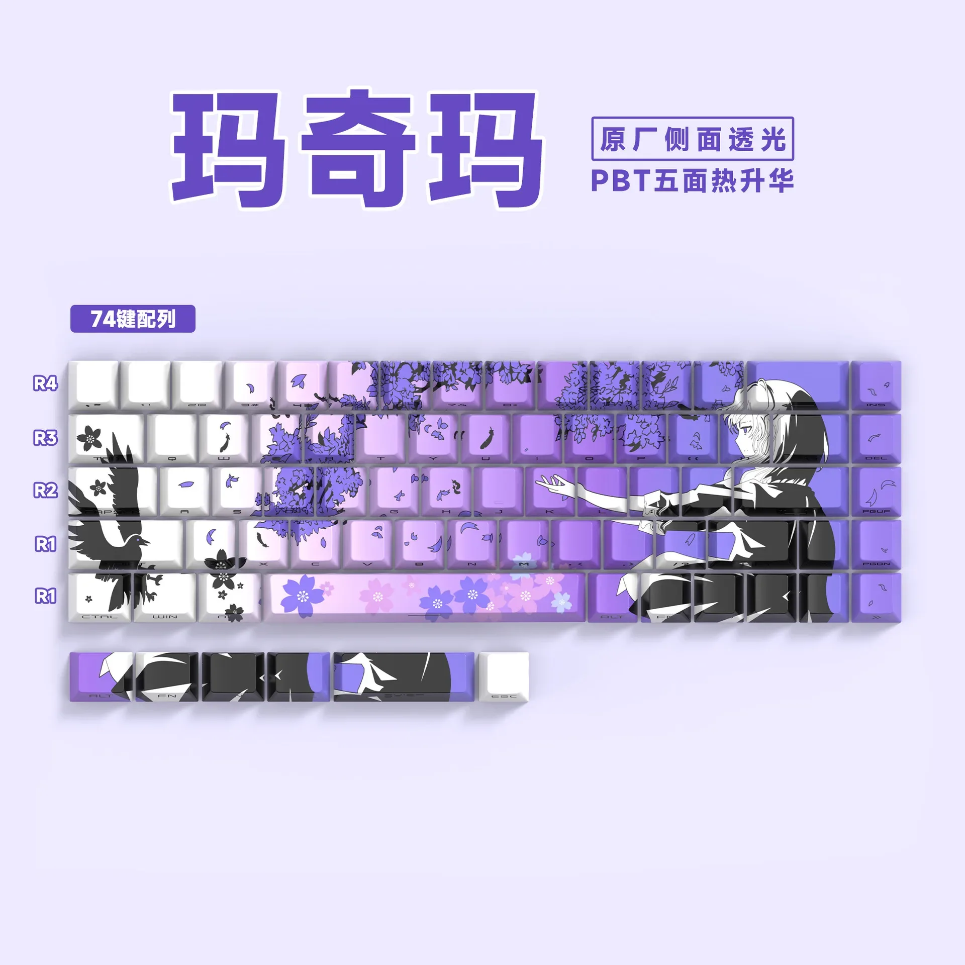 Keycaps PBT Translucides à Lettrage Latéral - 74 Touches - Pour Claviers 61/68 slide 21