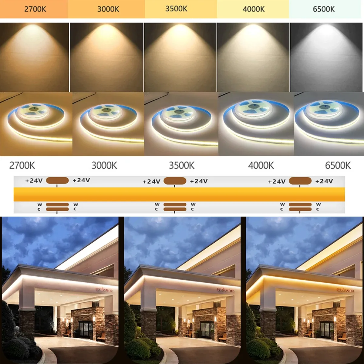 Ruban LED COB CCT 24V (2700K-6500K) - 608 LEDs/m - Flexible et Dimmable - Image 4