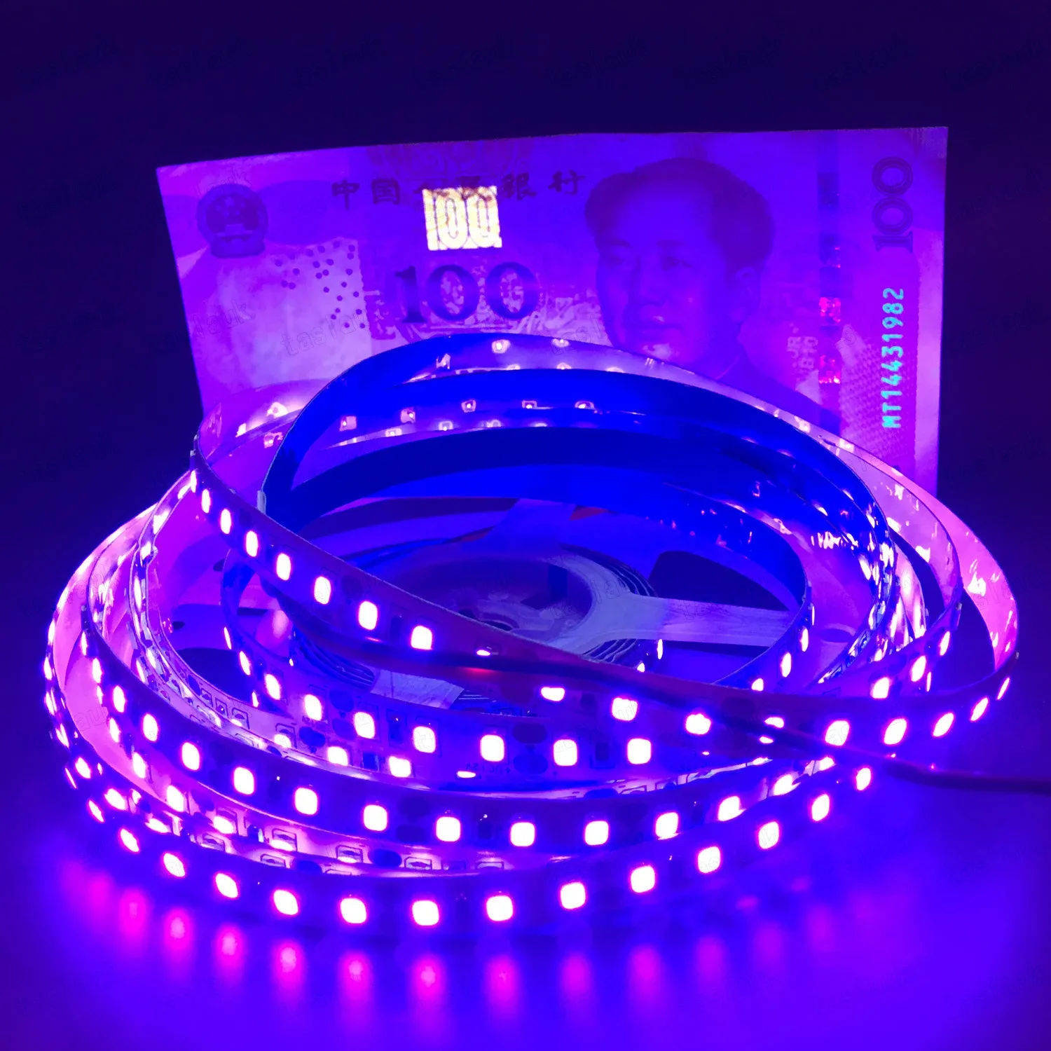 Ruban LED Flexible Ultraviolet (UV) 395-405nm 5V/12V SMD 2835/5050 60/120 LED/m - Image 6