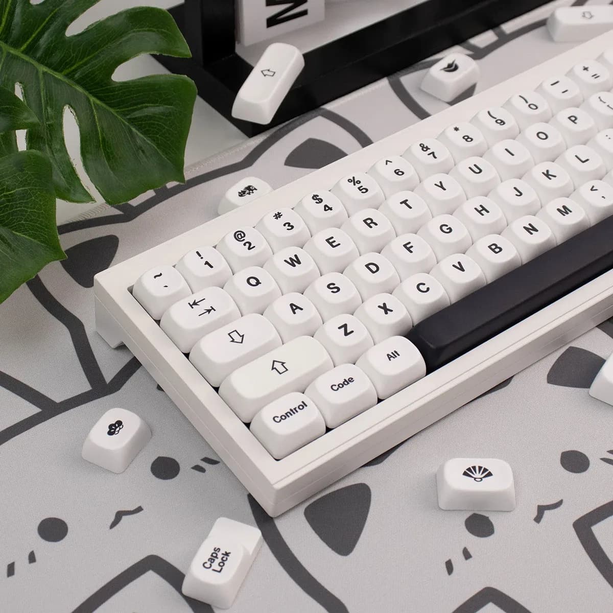 Ensemble de touches PBT minimalistes - Profil MOA - Dye-Sub - Noir et Blanc - Image 5