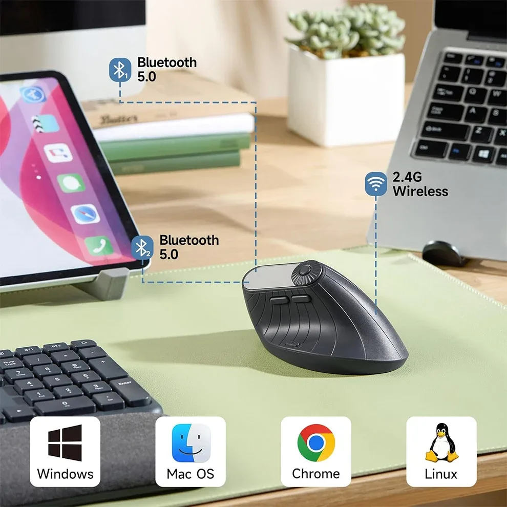 Souris ergonomique sans fil (2,4 GHz + Bluetooth), DPI réglable, légère pour PC et MacBook - Image 3