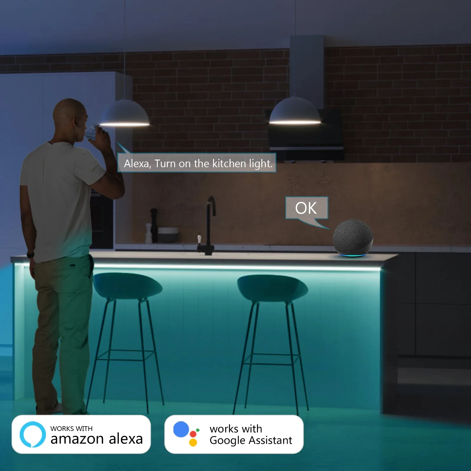 Ruban LED Néon Connecté RGB WiFi (12V-24V) avec Prise UE - Compatible Tuya & Smart Life slide 4