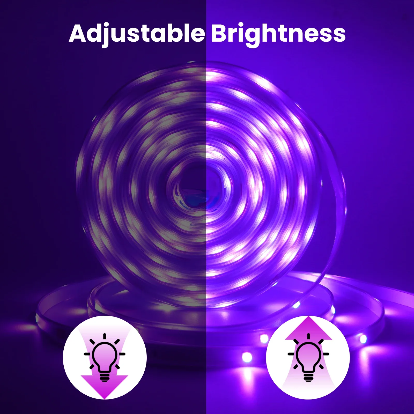 Ruban LED RGB 24V Bluetooth - Étanche IP67 pour Extérieur - Image 3