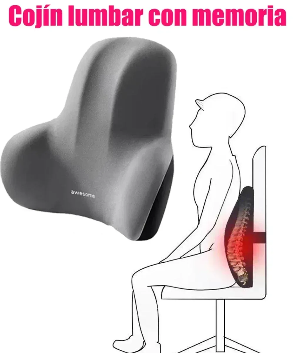 Coussin Lombaire Ergonomique en Mousse à Mémoire de Forme pour Chaise de Bureau et Soutien Post-Partum